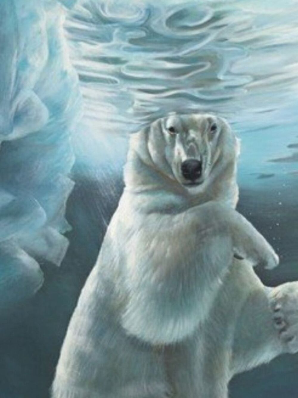 NIB Serendipity 1000 pc Polar Ice puzzle - Picture 5 of 5